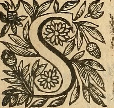 An illustration from [Théâtre de Rotrou], 1636, leaf 238