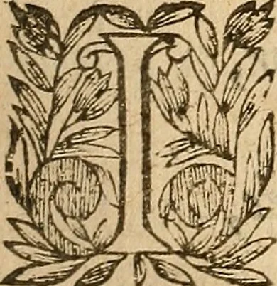 An illustration from [Théâtre de Rotrou], 1636, leaf 248