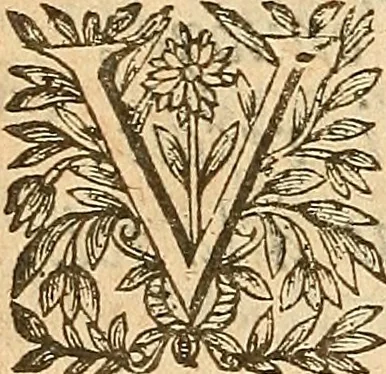 An illustration from [Théâtre de Rotrou], 1636, leaf 251