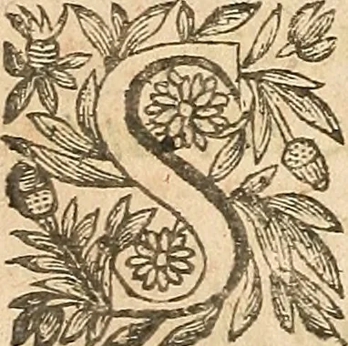 An illustration from [Théâtre de Rotrou], 1636, leaf 259