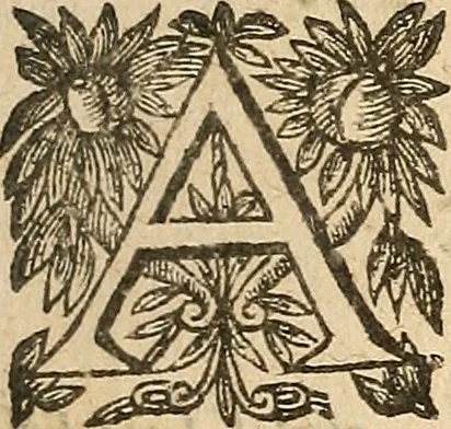 An illustration from [Théâtre de Rotrou], 1636, leaf 262