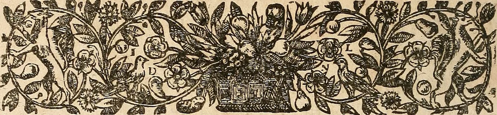 An illustration from [Théâtre de Rotrou], 1636, leaf 27