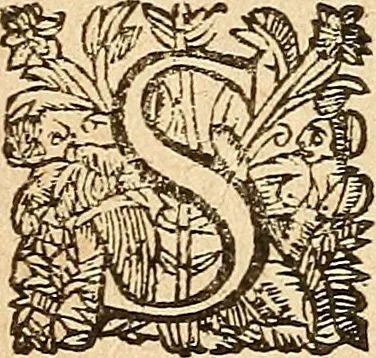 An illustration from [Théâtre de Rotrou], 1636, leaf 293