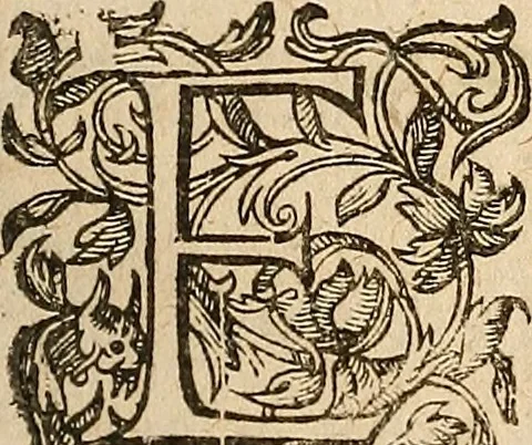 An illustration from [Théâtre de Rotrou], 1636, leaf 314