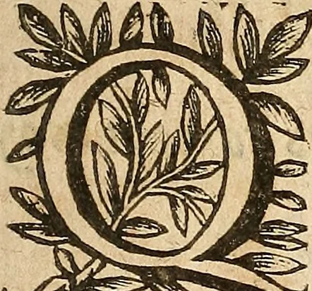 An illustration from [Théâtre de Rotrou], 1636, leaf 50
