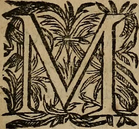 An illustration from [Théâtre de Rotrou], 1636, leaf 10