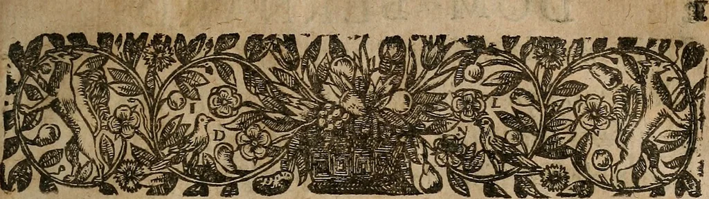 An illustration from [Théâtre de Rotrou], 1636, leaf 134