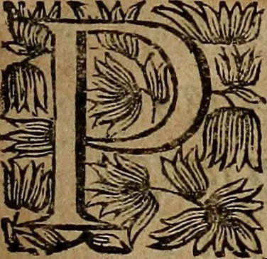 An illustration from [Théâtre de Rotrou], 1636, leaf 22