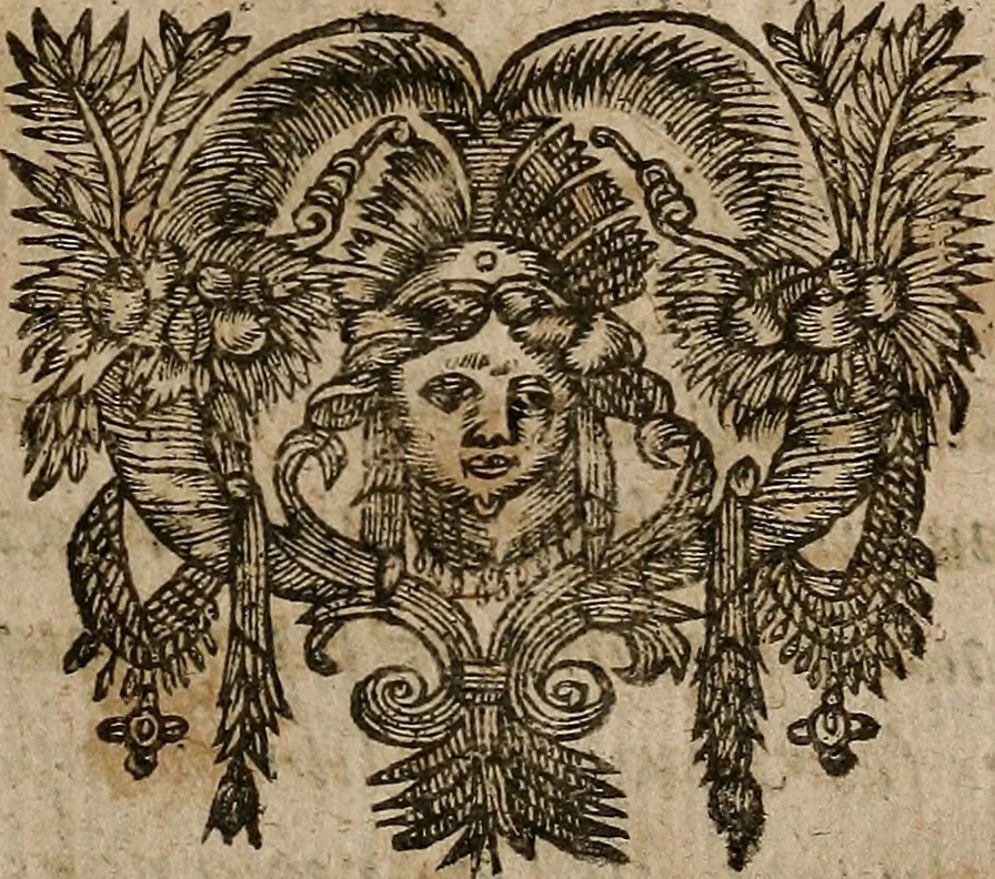 An illustration from [Théâtre de Rotrou], 1636, leaf 226