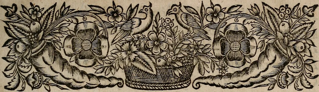 An illustration from [Théâtre de Rotrou], 1636, leaf 478