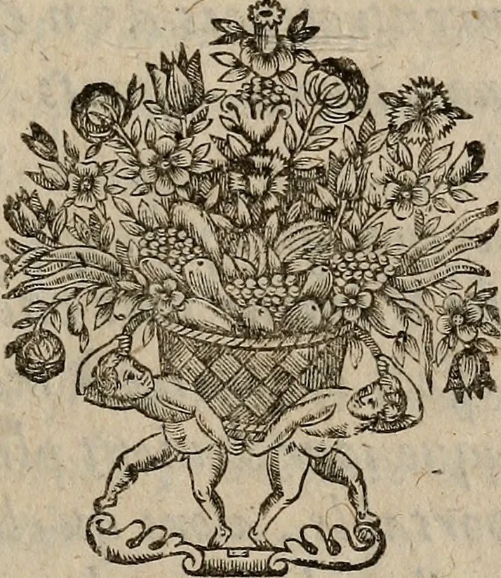 An illustration from [Théâtre de Rotrou], 1636, leaf 516