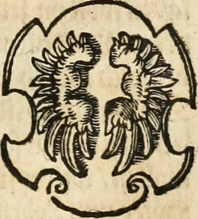 An illustration from Thurnier Buch : von Anfang, Vrsachen, Vrsprung vnd Herkommen der Thurnier im Heyligen Römischen Reich Teutscher Nation, wie viel offentlicher Landthurnier von Keyser Heinrich dem Ersten dieses Namens an biss auff den jetztregierenden Keyser Maximilian den Andern ... vnd in welchen Stetten die alle gehalten ... Alles jetzunder von neuwem zusammen getragen, mit schönen neuwen Figuren, sonderlich auch der adelischen Wappen, auffs schönest zugericht .., 1566, leaf 102