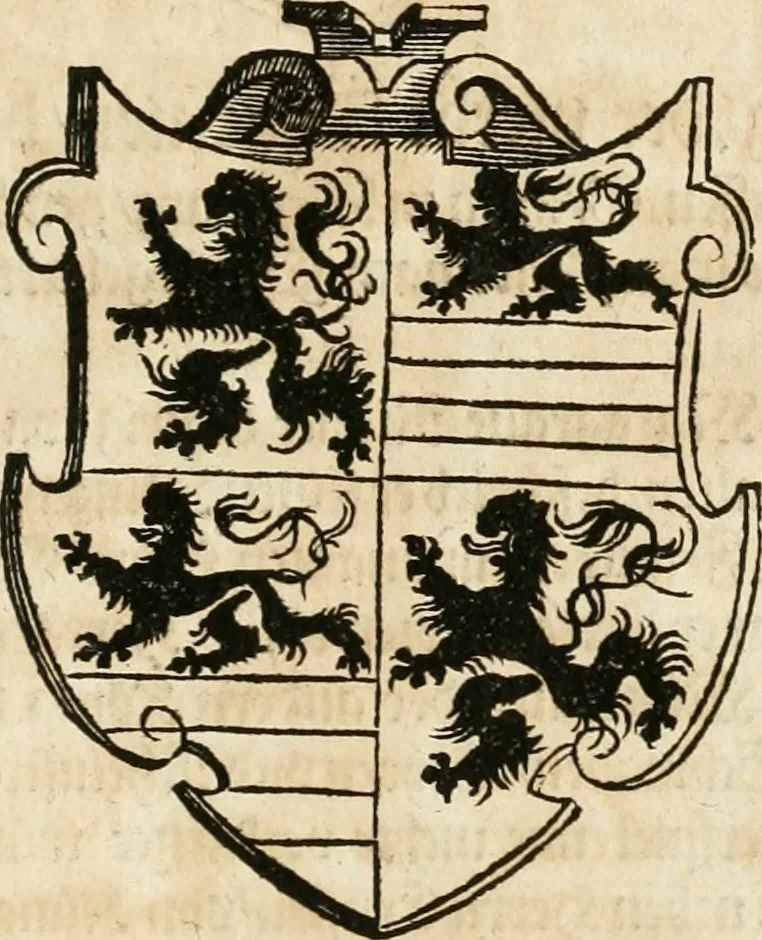 An illustration from Thurnier Buch : von Anfang, Vrsachen, Vrsprung vnd Herkommen der Thurnier im Heyligen Römischen Reich Teutscher Nation, wie viel offentlicher Landthurnier von Keyser Heinrich dem Ersten dieses Namens an biss auff den jetztregierenden Keyser Maximilian den Andern ... vnd in welchen Stetten die alle gehalten ... Alles jetzunder von neuwem zusammen getragen, mit schönen neuwen Figuren, sonderlich auch der adelischen Wappen, auffs schönest zugericht .., 1566, leaf 102