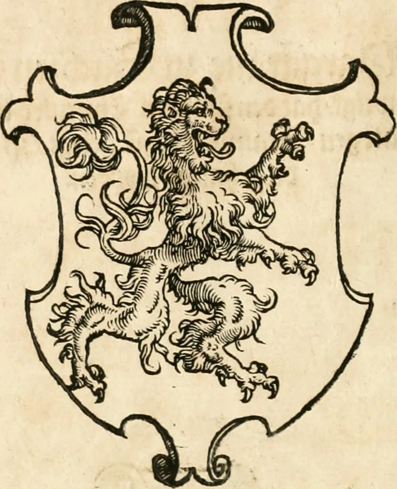 An illustration from Thurnier Buch : von Anfang, Vrsachen, Vrsprung vnd Herkommen der Thurnier im Heyligen Römischen Reich Teutscher Nation, wie viel offentlicher Landthurnier von Keyser Heinrich dem Ersten dieses Namens an biss auff den jetztregierenden Keyser Maximilian den Andern ... vnd in welchen Stetten die alle gehalten ... Alles jetzunder von neuwem zusammen getragen, mit schönen neuwen Figuren, sonderlich auch der adelischen Wappen, auffs schönest zugericht .., 1566, leaf 113