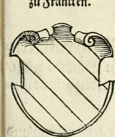 An illustration from Thurnier Buch : von Anfang, Vrsachen, Vrsprung vnd Herkommen der Thurnier im Heyligen Römischen Reich Teutscher Nation, wie viel offentlicher Landthurnier von Keyser Heinrich dem Ersten dieses Namens an biss auff den jetztregierenden Keyser Maximilian den Andern ... vnd in welchen Stetten die alle gehalten ... Alles jetzunder von neuwem zusammen getragen, mit schönen neuwen Figuren, sonderlich auch der adelischen Wappen, auffs schönest zugericht .., 1566, leaf 134