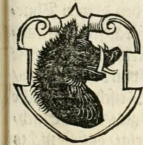 An illustration from Thurnier Buch : von Anfang, Vrsachen, Vrsprung vnd Herkommen der Thurnier im Heyligen Römischen Reich Teutscher Nation, wie viel offentlicher Landthurnier von Keyser Heinrich dem Ersten dieses Namens an biss auff den jetztregierenden Keyser Maximilian den Andern ... vnd in welchen Stetten die alle gehalten ... Alles jetzunder von neuwem zusammen getragen, mit schönen neuwen Figuren, sonderlich auch der adelischen Wappen, auffs schönest zugericht .., 1566, leaf 134