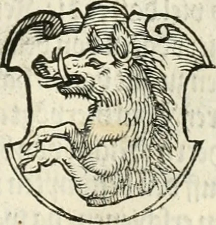 An illustration from Thurnier Buch : von Anfang, Vrsachen, Vrsprung vnd Herkommen der Thurnier im Heyligen Römischen Reich Teutscher Nation, wie viel offentlicher Landthurnier von Keyser Heinrich dem Ersten dieses Namens an biss auff den jetztregierenden Keyser Maximilian den Andern ... vnd in welchen Stetten die alle gehalten ... Alles jetzunder von neuwem zusammen getragen, mit schönen neuwen Figuren, sonderlich auch der adelischen Wappen, auffs schönest zugericht .., 1566, leaf 134