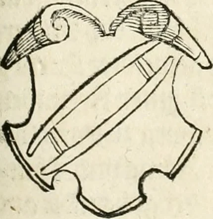 An illustration from Thurnier Buch : von Anfang, Vrsachen, Vrsprung vnd Herkommen der Thurnier im Heyligen Römischen Reich Teutscher Nation, wie viel offentlicher Landthurnier von Keyser Heinrich dem Ersten dieses Namens an biss auff den jetztregierenden Keyser Maximilian den Andern ... vnd in welchen Stetten die alle gehalten ... Alles jetzunder von neuwem zusammen getragen, mit schönen neuwen Figuren, sonderlich auch der adelischen Wappen, auffs schönest zugericht .., 1566, leaf 146