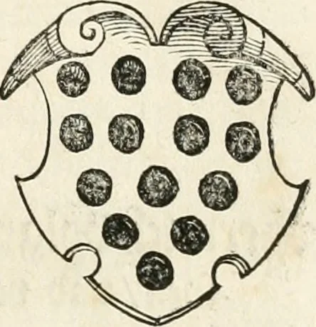 An illustration from Thurnier Buch : von Anfang, Vrsachen, Vrsprung vnd Herkommen der Thurnier im Heyligen Römischen Reich Teutscher Nation, wie viel offentlicher Landthurnier von Keyser Heinrich dem Ersten dieses Namens an biss auff den jetztregierenden Keyser Maximilian den Andern ... vnd in welchen Stetten die alle gehalten ... Alles jetzunder von neuwem zusammen getragen, mit schönen neuwen Figuren, sonderlich auch der adelischen Wappen, auffs schönest zugericht .., 1566, leaf 146