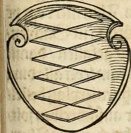 An illustration from Thurnier Buch : von Anfang, Vrsachen, Vrsprung vnd Herkommen der Thurnier im Heyligen Römischen Reich Teutscher Nation, wie viel offentlicher Landthurnier von Keyser Heinrich dem Ersten dieses Namens an biss auff den jetztregierenden Keyser Maximilian den Andern ... vnd in welchen Stetten die alle gehalten ... Alles jetzunder von neuwem zusammen getragen, mit schönen neuwen Figuren, sonderlich auch der adelischen Wappen, auffs schönest zugericht .., 1566, leaf 158