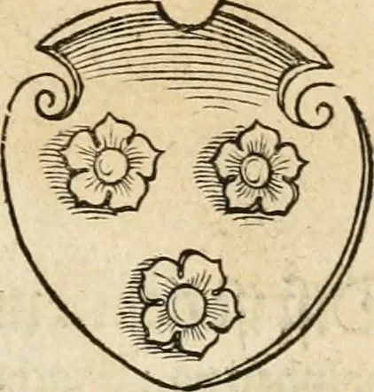 An illustration from Thurnier Buch : von Anfang, Vrsachen, Vrsprung vnd Herkommen der Thurnier im Heyligen Römischen Reich Teutscher Nation, wie viel offentlicher Landthurnier von Keyser Heinrich dem Ersten dieses Namens an biss auff den jetztregierenden Keyser Maximilian den Andern ... vnd in welchen Stetten die alle gehalten ... Alles jetzunder von neuwem zusammen getragen, mit schönen neuwen Figuren, sonderlich auch der adelischen Wappen, auffs schönest zugericht .., 1566, leaf 158