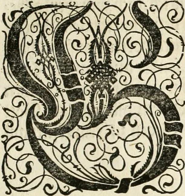 An illustration from Thurnier Buch : von Anfang, Vrsachen, Vrsprung vnd Herkommen der Thurnier im Heyligen Römischen Reich Teutscher Nation, wie viel offentlicher Landthurnier von Keyser Heinrich dem Ersten dieses Namens an biss auff den jetztregierenden Keyser Maximilian den Andern ... vnd in welchen Stetten die alle gehalten ... Alles jetzunder von neuwem zusammen getragen, mit schönen neuwen Figuren, sonderlich auch der adelischen Wappen, auffs schönest zugericht .., 1566, leaf 16