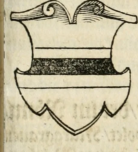 An illustration from Thurnier Buch : von Anfang, Vrsachen, Vrsprung vnd Herkommen der Thurnier im Heyligen Römischen Reich Teutscher Nation, wie viel offentlicher Landthurnier von Keyser Heinrich dem Ersten dieses Namens an biss auff den jetztregierenden Keyser Maximilian den Andern ... vnd in welchen Stetten die alle gehalten ... Alles jetzunder von neuwem zusammen getragen, mit schönen neuwen Figuren, sonderlich auch der adelischen Wappen, auffs schönest zugericht .., 1566, leaf 168