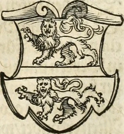 An illustration from Thurnier Buch : von Anfang, Vrsachen, Vrsprung vnd Herkommen der Thurnier im Heyligen Römischen Reich Teutscher Nation, wie viel offentlicher Landthurnier von Keyser Heinrich dem Ersten dieses Namens an biss auff den jetztregierenden Keyser Maximilian den Andern ... vnd in welchen Stetten die alle gehalten ... Alles jetzunder von neuwem zusammen getragen, mit schönen neuwen Figuren, sonderlich auch der adelischen Wappen, auffs schönest zugericht .., 1566, leaf 168