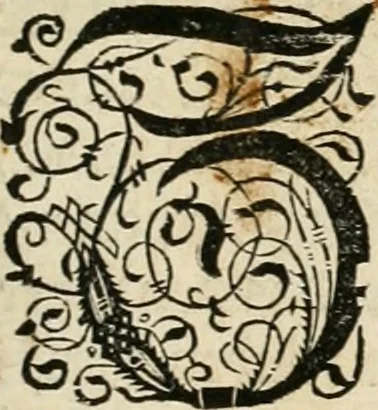 An illustration from Thurnier Buch : von Anfang, Vrsachen, Vrsprung vnd Herkommen der Thurnier im Heyligen Römischen Reich Teutscher Nation, wie viel offentlicher Landthurnier von Keyser Heinrich dem Ersten dieses Namens an biss auff den jetztregierenden Keyser Maximilian den Andern ... vnd in welchen Stetten die alle gehalten ... Alles jetzunder von neuwem zusammen getragen, mit schönen neuwen Figuren, sonderlich auch der adelischen Wappen, auffs schönest zugericht .., 1566, leaf 20
