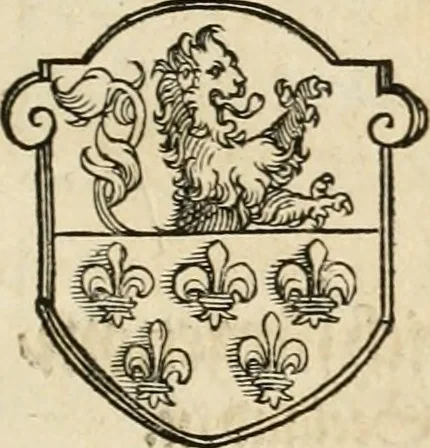 An illustration from Thurnier Buch : von Anfang, Vrsachen, Vrsprung vnd Herkommen der Thurnier im Heyligen Römischen Reich Teutscher Nation, wie viel offentlicher Landthurnier von Keyser Heinrich dem Ersten dieses Namens an biss auff den jetztregierenden Keyser Maximilian den Andern ... vnd in welchen Stetten die alle gehalten ... Alles jetzunder von neuwem zusammen getragen, mit schönen neuwen Figuren, sonderlich auch der adelischen Wappen, auffs schönest zugericht .., 1566, leaf 200