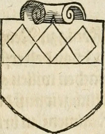 An illustration from Thurnier Buch : von Anfang, Vrsachen, Vrsprung vnd Herkommen der Thurnier im Heyligen Römischen Reich Teutscher Nation, wie viel offentlicher Landthurnier von Keyser Heinrich dem Ersten dieses Namens an biss auff den jetztregierenden Keyser Maximilian den Andern ... vnd in welchen Stetten die alle gehalten ... Alles jetzunder von neuwem zusammen getragen, mit schönen neuwen Figuren, sonderlich auch der adelischen Wappen, auffs schönest zugericht .., 1566, leaf 220