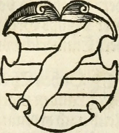 An illustration from Thurnier Buch : von Anfang, Vrsachen, Vrsprung vnd Herkommen der Thurnier im Heyligen Römischen Reich Teutscher Nation, wie viel offentlicher Landthurnier von Keyser Heinrich dem Ersten dieses Namens an biss auff den jetztregierenden Keyser Maximilian den Andern ... vnd in welchen Stetten die alle gehalten ... Alles jetzunder von neuwem zusammen getragen, mit schönen neuwen Figuren, sonderlich auch der adelischen Wappen, auffs schönest zugericht .., 1566, leaf 242