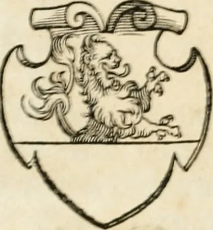 An illustration from Thurnier Buch : von Anfang, Vrsachen, Vrsprung vnd Herkommen der Thurnier im Heyligen Römischen Reich Teutscher Nation, wie viel offentlicher Landthurnier von Keyser Heinrich dem Ersten dieses Namens an biss auff den jetztregierenden Keyser Maximilian den Andern ... vnd in welchen Stetten die alle gehalten ... Alles jetzunder von neuwem zusammen getragen, mit schönen neuwen Figuren, sonderlich auch der adelischen Wappen, auffs schönest zugericht .., 1566, leaf 254