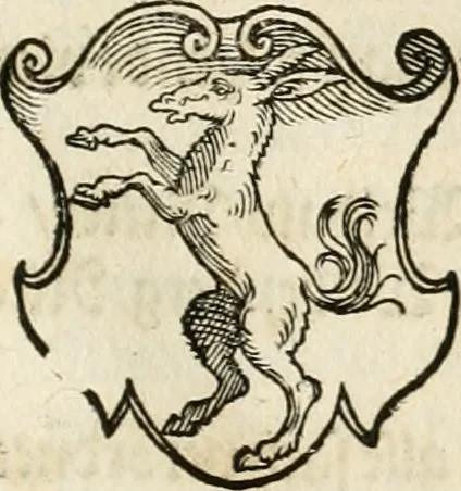 An illustration from Thurnier Buch : von Anfang, Vrsachen, Vrsprung vnd Herkommen der Thurnier im Heyligen Römischen Reich Teutscher Nation, wie viel offentlicher Landthurnier von Keyser Heinrich dem Ersten dieses Namens an biss auff den jetztregierenden Keyser Maximilian den Andern ... vnd in welchen Stetten die alle gehalten ... Alles jetzunder von neuwem zusammen getragen, mit schönen neuwen Figuren, sonderlich auch der adelischen Wappen, auffs schönest zugericht .., 1566, leaf 266