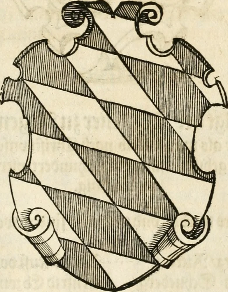 An illustration from Thurnier Buch : von Anfang, Vrsachen, Vrsprung vnd Herkommen der Thurnier im Heyligen Römischen Reich Teutscher Nation, wie viel offentlicher Landthurnier von Keyser Heinrich dem Ersten dieses Namens an biss auff den jetztregierenden Keyser Maximilian den Andern ... vnd in welchen Stetten die alle gehalten ... Alles jetzunder von neuwem zusammen getragen, mit schönen neuwen Figuren, sonderlich auch der adelischen Wappen, auffs schönest zugericht .., 1566, leaf 266