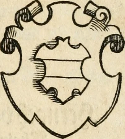 An illustration from Thurnier Buch : von Anfang, Vrsachen, Vrsprung vnd Herkommen der Thurnier im Heyligen Römischen Reich Teutscher Nation, wie viel offentlicher Landthurnier von Keyser Heinrich dem Ersten dieses Namens an biss auff den jetztregierenden Keyser Maximilian den Andern ... vnd in welchen Stetten die alle gehalten ... Alles jetzunder von neuwem zusammen getragen, mit schönen neuwen Figuren, sonderlich auch der adelischen Wappen, auffs schönest zugericht .., 1566, leaf 316