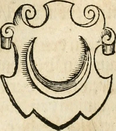 An illustration from Thurnier Buch : von Anfang, Vrsachen, Vrsprung vnd Herkommen der Thurnier im Heyligen Römischen Reich Teutscher Nation, wie viel offentlicher Landthurnier von Keyser Heinrich dem Ersten dieses Namens an biss auff den jetztregierenden Keyser Maximilian den Andern ... vnd in welchen Stetten die alle gehalten ... Alles jetzunder von neuwem zusammen getragen, mit schönen neuwen Figuren, sonderlich auch der adelischen Wappen, auffs schönest zugericht .., 1566, leaf 316