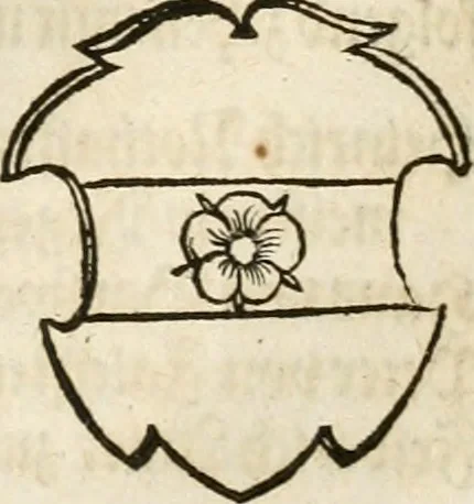 An illustration from Thurnier Buch : von Anfang, Vrsachen, Vrsprung vnd Herkommen der Thurnier im Heyligen Römischen Reich Teutscher Nation, wie viel offentlicher Landthurnier von Keyser Heinrich dem Ersten dieses Namens an biss auff den jetztregierenden Keyser Maximilian den Andern ... vnd in welchen Stetten die alle gehalten ... Alles jetzunder von neuwem zusammen getragen, mit schönen neuwen Figuren, sonderlich auch der adelischen Wappen, auffs schönest zugericht .., 1566, leaf 352