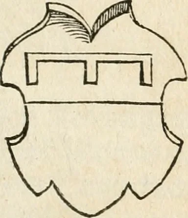 An illustration from Thurnier Buch : von Anfang, Vrsachen, Vrsprung vnd Herkommen der Thurnier im Heyligen Römischen Reich Teutscher Nation, wie viel offentlicher Landthurnier von Keyser Heinrich dem Ersten dieses Namens an biss auff den jetztregierenden Keyser Maximilian den Andern ... vnd in welchen Stetten die alle gehalten ... Alles jetzunder von neuwem zusammen getragen, mit schönen neuwen Figuren, sonderlich auch der adelischen Wappen, auffs schönest zugericht .., 1566, leaf 358