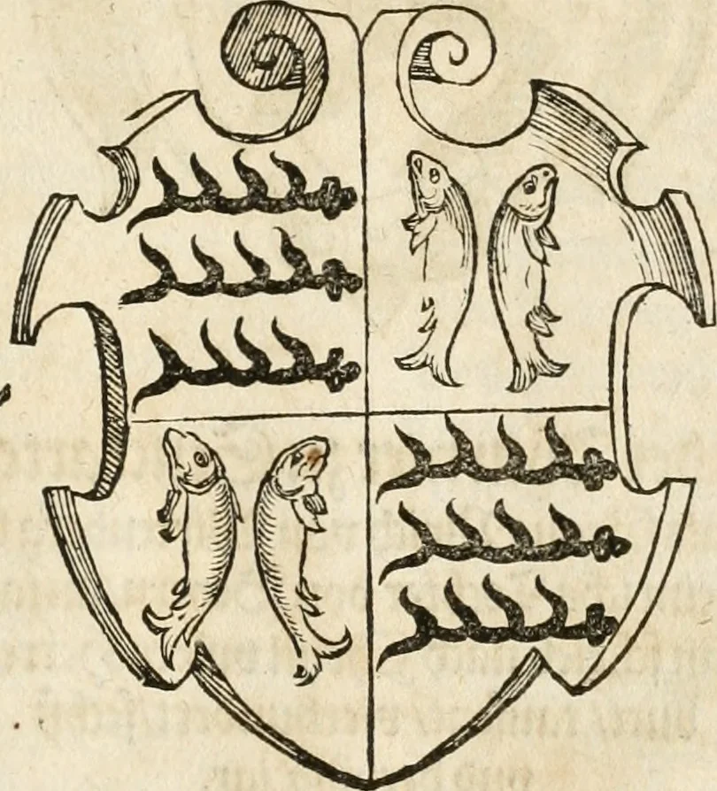 An illustration from Thurnier Buch : von Anfang, Vrsachen, Vrsprung vnd Herkommen der Thurnier im Heyligen Römischen Reich Teutscher Nation, wie viel offentlicher Landthurnier von Keyser Heinrich dem Ersten dieses Namens an biss auff den jetztregierenden Keyser Maximilian den Andern ... vnd in welchen Stetten die alle gehalten ... Alles jetzunder von neuwem zusammen getragen, mit schönen neuwen Figuren, sonderlich auch der adelischen Wappen, auffs schönest zugericht .., 1566, leaf 358