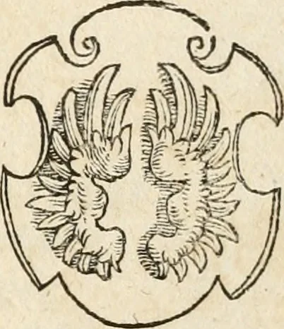 An illustration from Thurnier Buch : von Anfang, Vrsachen, Vrsprung vnd Herkommen der Thurnier im Heyligen Römischen Reich Teutscher Nation, wie viel offentlicher Landthurnier von Keyser Heinrich dem Ersten dieses Namens an biss auff den jetztregierenden Keyser Maximilian den Andern ... vnd in welchen Stetten die alle gehalten ... Alles jetzunder von neuwem zusammen getragen, mit schönen neuwen Figuren, sonderlich auch der adelischen Wappen, auffs schönest zugericht .., 1566, leaf 358