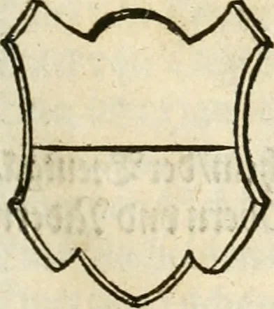 An illustration from Thurnier Buch : von Anfang, Vrsachen, Vrsprung vnd Herkommen der Thurnier im Heyligen Römischen Reich Teutscher Nation, wie viel offentlicher Landthurnier von Keyser Heinrich dem Ersten dieses Namens an biss auff den jetztregierenden Keyser Maximilian den Andern ... vnd in welchen Stetten die alle gehalten ... Alles jetzunder von neuwem zusammen getragen, mit schönen neuwen Figuren, sonderlich auch der adelischen Wappen, auffs schönest zugericht .., 1566, leaf 366
