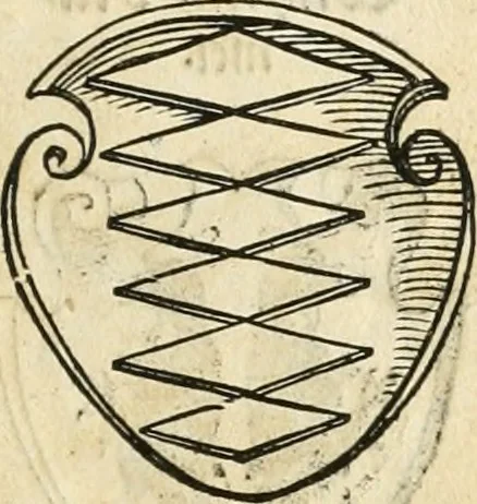 An illustration from Thurnier Buch : von Anfang, Vrsachen, Vrsprung vnd Herkommen der Thurnier im Heyligen Römischen Reich Teutscher Nation, wie viel offentlicher Landthurnier von Keyser Heinrich dem Ersten dieses Namens an biss auff den jetztregierenden Keyser Maximilian den Andern ... vnd in welchen Stetten die alle gehalten ... Alles jetzunder von neuwem zusammen getragen, mit schönen neuwen Figuren, sonderlich auch der adelischen Wappen, auffs schönest zugericht .., 1566, leaf 376