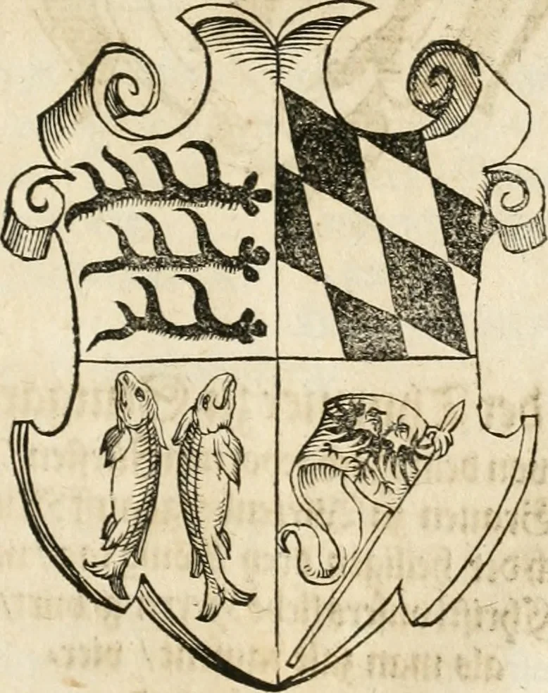 An illustration from Thurnier Buch : von Anfang, Vrsachen, Vrsprung vnd Herkommen der Thurnier im Heyligen Römischen Reich Teutscher Nation, wie viel offentlicher Landthurnier von Keyser Heinrich dem Ersten dieses Namens an biss auff den jetztregierenden Keyser Maximilian den Andern ... vnd in welchen Stetten die alle gehalten ... Alles jetzunder von neuwem zusammen getragen, mit schönen neuwen Figuren, sonderlich auch der adelischen Wappen, auffs schönest zugericht .., 1566, leaf 434
