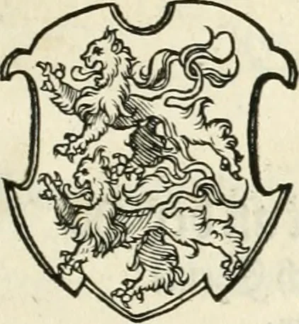 An illustration from Thurnier Buch : von Anfang, Vrsachen, Vrsprung vnd Herkommen der Thurnier im Heyligen Römischen Reich Teutscher Nation, wie viel offentlicher Landthurnier von Keyser Heinrich dem Ersten dieses Namens an biss auff den jetztregierenden Keyser Maximilian den Andern ... vnd in welchen Stetten die alle gehalten ... Alles jetzunder von neuwem zusammen getragen, mit schönen neuwen Figuren, sonderlich auch der adelischen Wappen, auffs schönest zugericht .., 1566, leaf 446