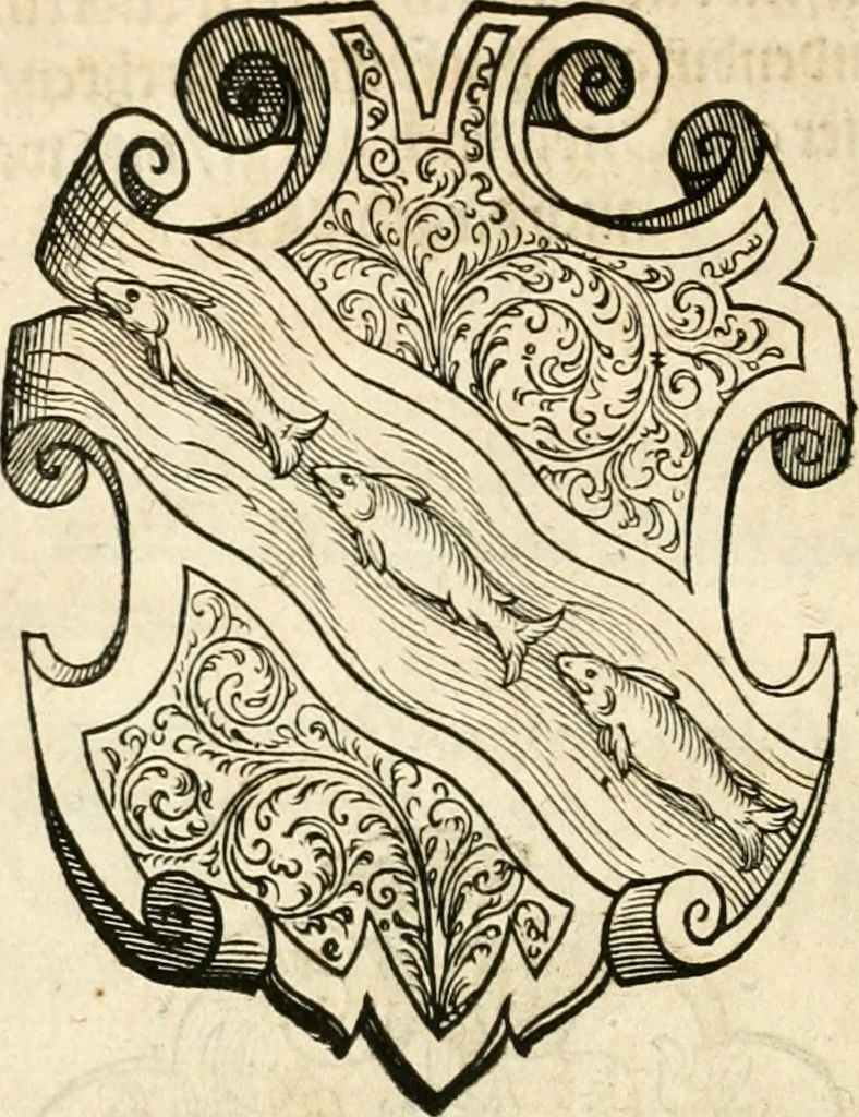 An illustration from Thurnier Buch : von Anfang, Vrsachen, Vrsprung vnd Herkommen der Thurnier im Heyligen Römischen Reich Teutscher Nation, wie viel offentlicher Landthurnier von Keyser Heinrich dem Ersten dieses Namens an biss auff den jetztregierenden Keyser Maximilian den Andern ... vnd in welchen Stetten die alle gehalten ... Alles jetzunder von neuwem zusammen getragen, mit schönen neuwen Figuren, sonderlich auch der adelischen Wappen, auffs schönest zugericht .., 1566, leaf 453