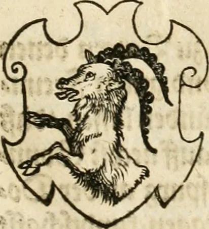 An illustration from Thurnier Buch : von Anfang, Vrsachen, Vrsprung vnd Herkommen der Thurnier im Heyligen Römischen Reich Teutscher Nation, wie viel offentlicher Landthurnier von Keyser Heinrich dem Ersten dieses Namens an biss auff den jetztregierenden Keyser Maximilian den Andern ... vnd in welchen Stetten die alle gehalten ... Alles jetzunder von neuwem zusammen getragen, mit schönen neuwen Figuren, sonderlich auch der adelischen Wappen, auffs schönest zugericht .., 1566, leaf 486