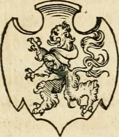 An illustration from Thurnier Buch : von Anfang, Vrsachen, Vrsprung vnd Herkommen der Thurnier im Heyligen Römischen Reich Teutscher Nation, wie viel offentlicher Landthurnier von Keyser Heinrich dem Ersten dieses Namens an biss auff den jetztregierenden Keyser Maximilian den Andern ... vnd in welchen Stetten die alle gehalten ... Alles jetzunder von neuwem zusammen getragen, mit schönen neuwen Figuren, sonderlich auch der adelischen Wappen, auffs schönest zugericht .., 1566, leaf 494