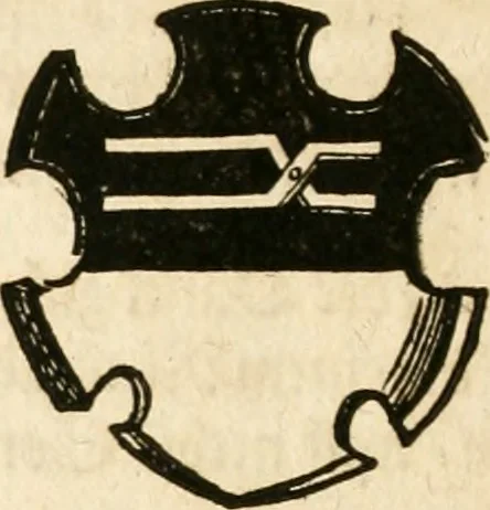 An illustration from Thurnier Buch : von Anfang, Vrsachen, Vrsprung vnd Herkommen der Thurnier im Heyligen Römischen Reich Teutscher Nation, wie viel offentlicher Landthurnier von Keyser Heinrich dem Ersten dieses Namens an biss auff den jetztregierenden Keyser Maximilian den Andern ... vnd in welchen Stetten die alle gehalten ... Alles jetzunder von neuwem zusammen getragen, mit schönen neuwen Figuren, sonderlich auch der adelischen Wappen, auffs schönest zugericht .., 1566, leaf 503