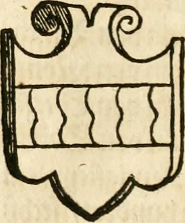 An illustration from Thurnier Buch : von Anfang, Vrsachen, Vrsprung vnd Herkommen der Thurnier im Heyligen Römischen Reich Teutscher Nation, wie viel offentlicher Landthurnier von Keyser Heinrich dem Ersten dieses Namens an biss auff den jetztregierenden Keyser Maximilian den Andern ... vnd in welchen Stetten die alle gehalten ... Alles jetzunder von neuwem zusammen getragen, mit schönen neuwen Figuren, sonderlich auch der adelischen Wappen, auffs schönest zugericht .., 1566, leaf 503